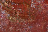 Red, Indonesian Plume Agate Slab - North Sumatra, Indonesia #185372-1